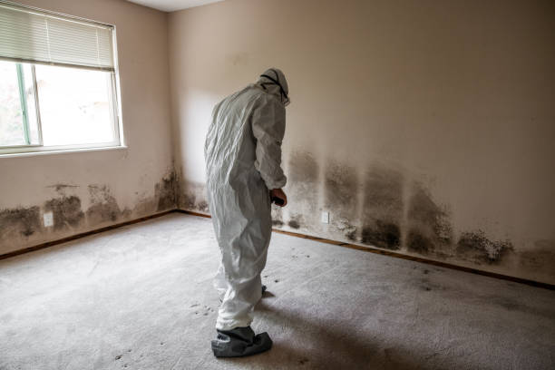 Mold Testing and Removal in Vails Gate, NY
